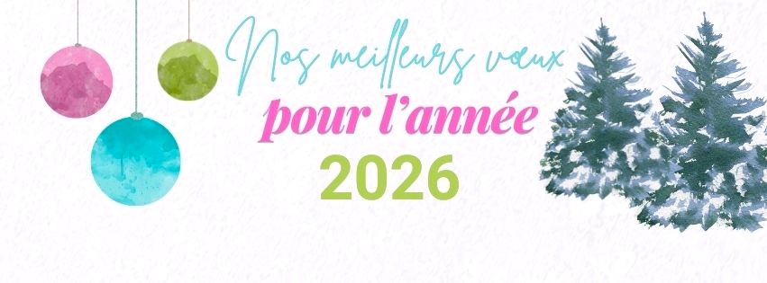 Voeux 2026 Centre Hospitalier d'Ern&eacute;e